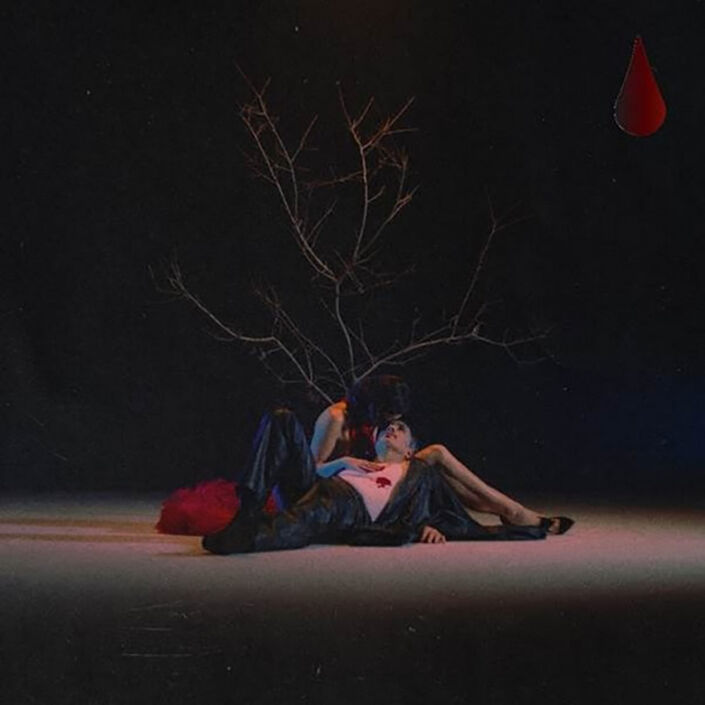 EMMANUEL HORVILLEUR Elástico